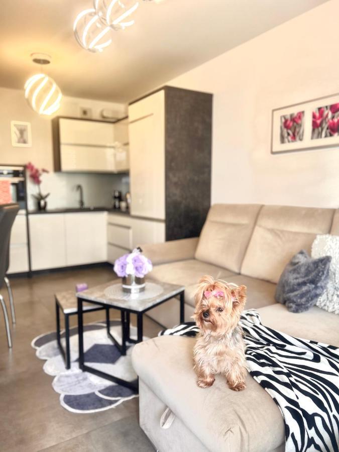 Downtownapartments Andy Air-Conditioned, Underground Parking Available Rzeszow Exterior photo